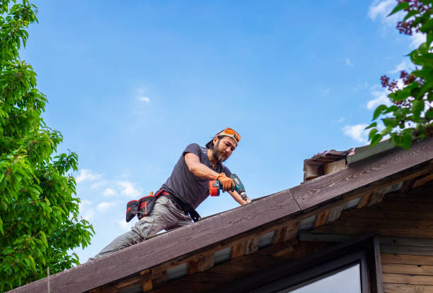 Best Storm Damage Roof Repair  in Vine Hill, CA